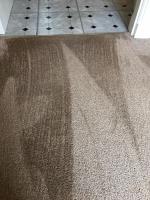 Trees Carpet Cleaning image 5